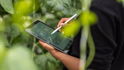 Tablet auf dem gerade geschrieben wird